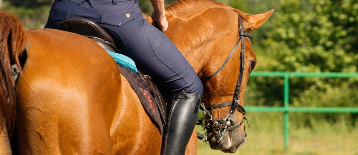 Hípica - Molí­ Hospital